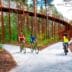 fietsen-in-de-bomen-3